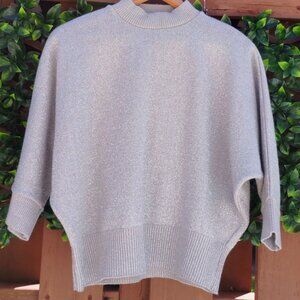 Willow Ridge Sparkling Silver Knit Sweater Size XL